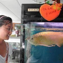 龍魚(yú)麻醉劑哪里買(mǎi)：龍魚(yú)麻醉劑品牌推薦,淘寶購(gòu)買(mǎi)麻醉劑注意事項(xiàng)