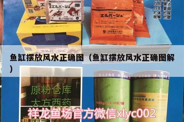 紅龍魚30公分圖片欣賞（紅龍魚30公分圖片欣賞大全）