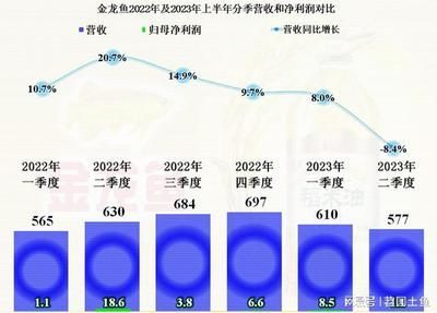 金龍魚的養殖成本和利潤取決于多種因素進行了解和準備：金龍魚養殖成本和利潤取決于多種因素
