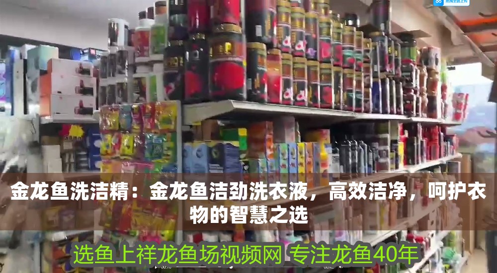 金龍魚洗潔精：金龍魚潔勁洗衣液，高效潔凈，呵護衣物的智慧之選