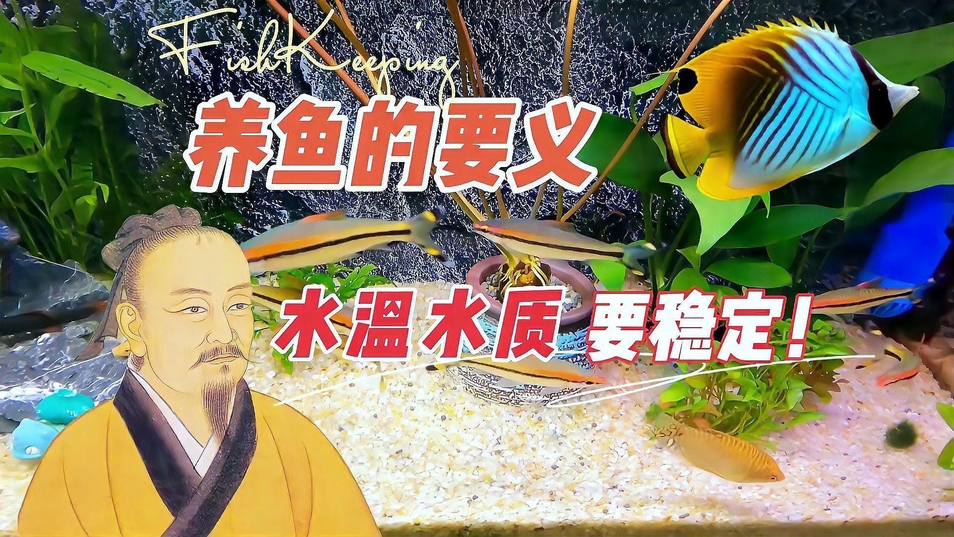 如何保持水溫穩定？ 如何保持水溫穩定？ 龍魚百科 第1張