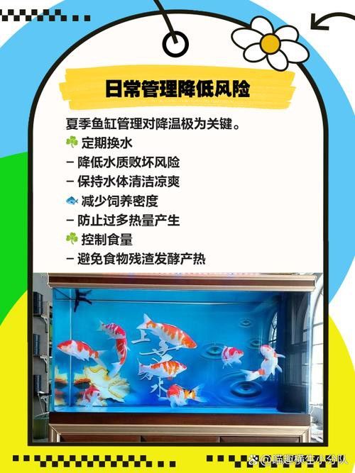 如何保持水溫穩定？ 如何保持水溫穩定？ 龍魚百科 第2張