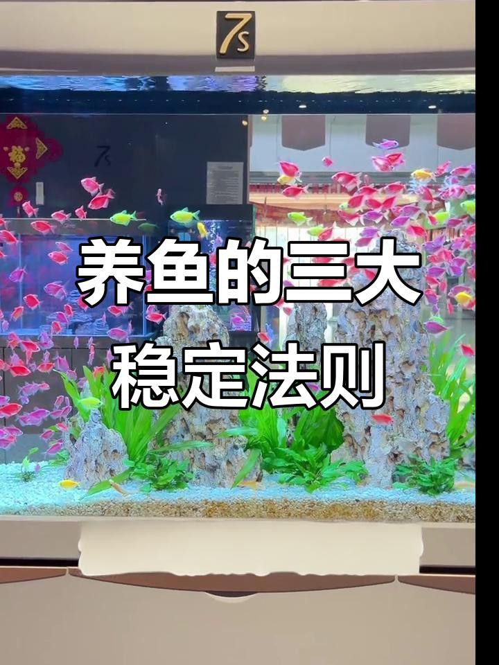 如何保持水溫穩定？ 如何保持水溫穩定？ 龍魚百科 第7張