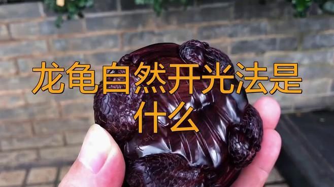 龍龜如何正確開光？