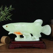 招財金龍魚多少錢一條啊視頻教程 招財金龍魚多少錢一條啊視頻教程 龍魚百科 第1張