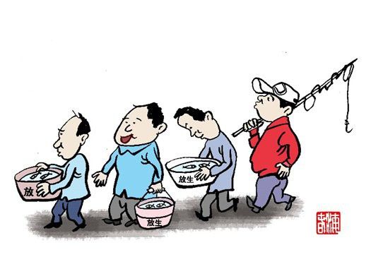 放生六角恐龍會有什么后果？