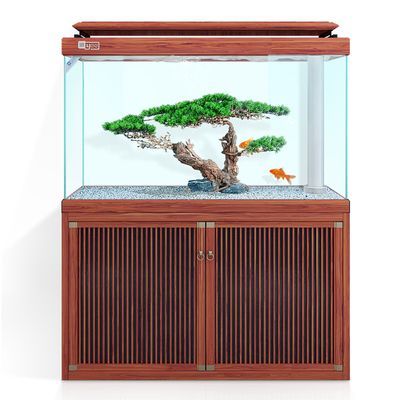 龍魚適合造景缸嗎：龍魚是否適合造景缸