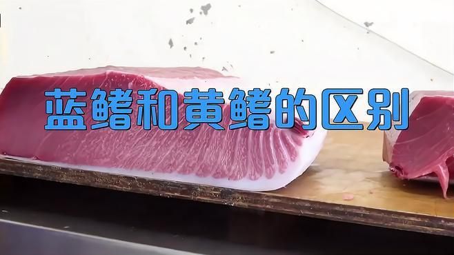 藍色黃鰭魚和黃鰭魚的區別