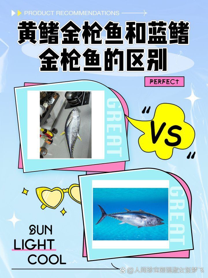 藍色黃鰭魚和黃鰭魚的區別