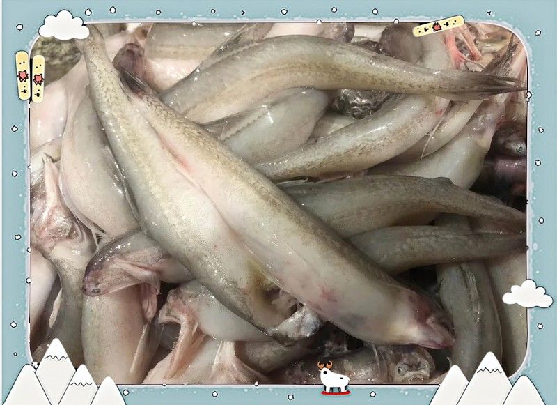 潮汕龍魚的做法大全竅門