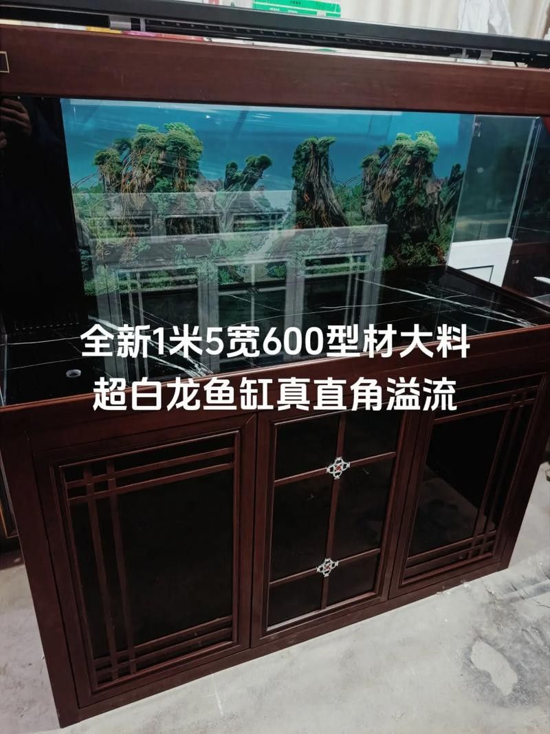 龍魚缸的最佳尺寸圖紙圖片