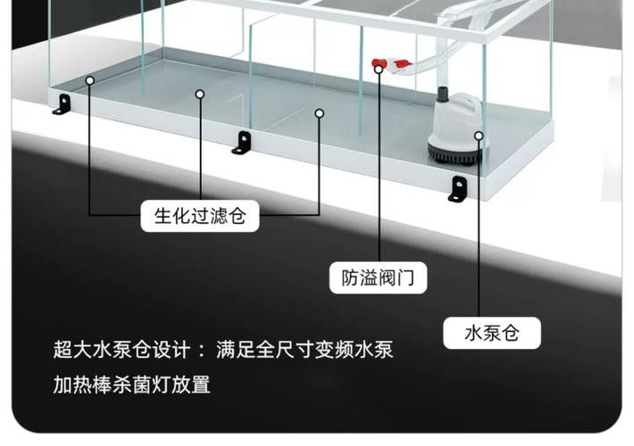 龍魚缸的最佳尺寸圖紙圖片