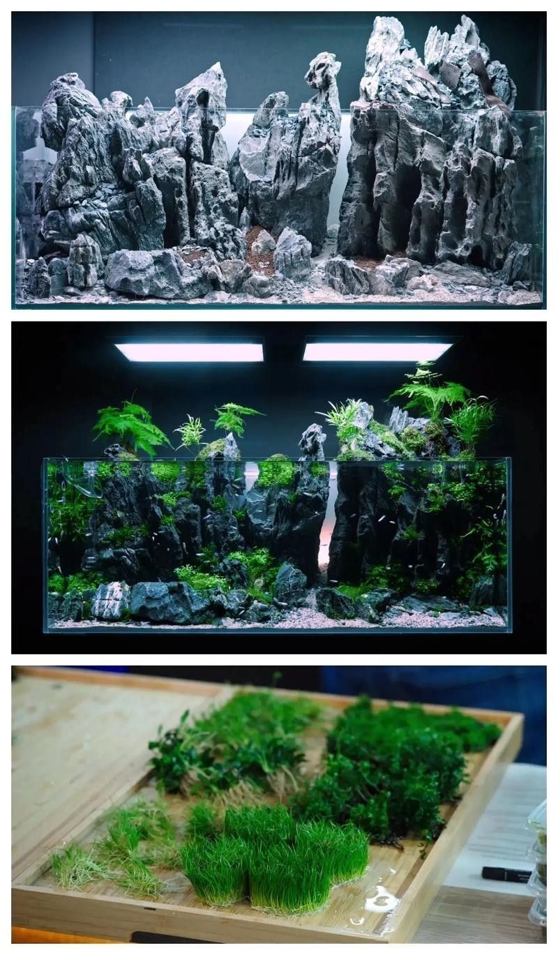 龍魚缸的最佳尺寸圖紙圖片