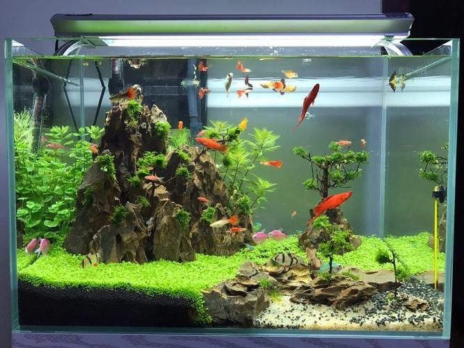 龍魚缸的最佳尺寸圖紙圖片