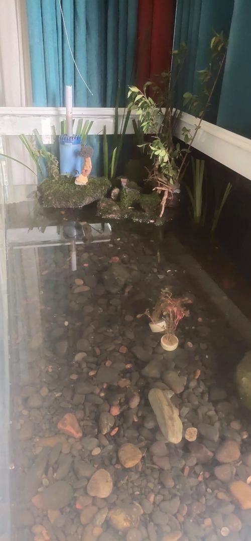 龍魚缸的最佳尺寸圖紙圖片