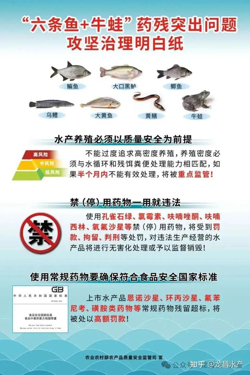 高背金龍魚的價格走勢如何？