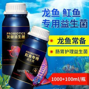 龍魚益生菌的作用：龍魚益生菌在養(yǎng)殖過程中正確使用益生菌是非常必要的