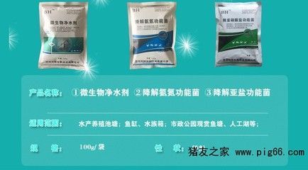 龍魚益生菌的作用：龍魚益生菌在養(yǎng)殖過程中正確使用益生菌是非常必要的