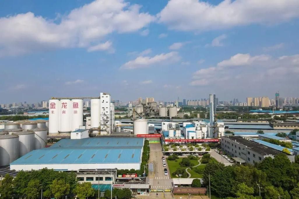金龍魚武漢分公司