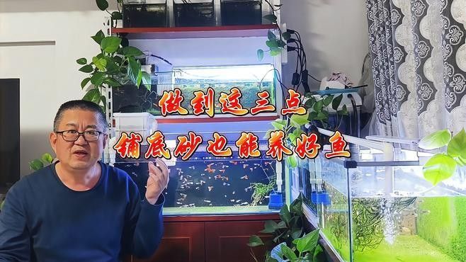 龍魚缸可以鋪底砂嗎 龍魚缸可以鋪底砂嗎 龍魚百科 第1張