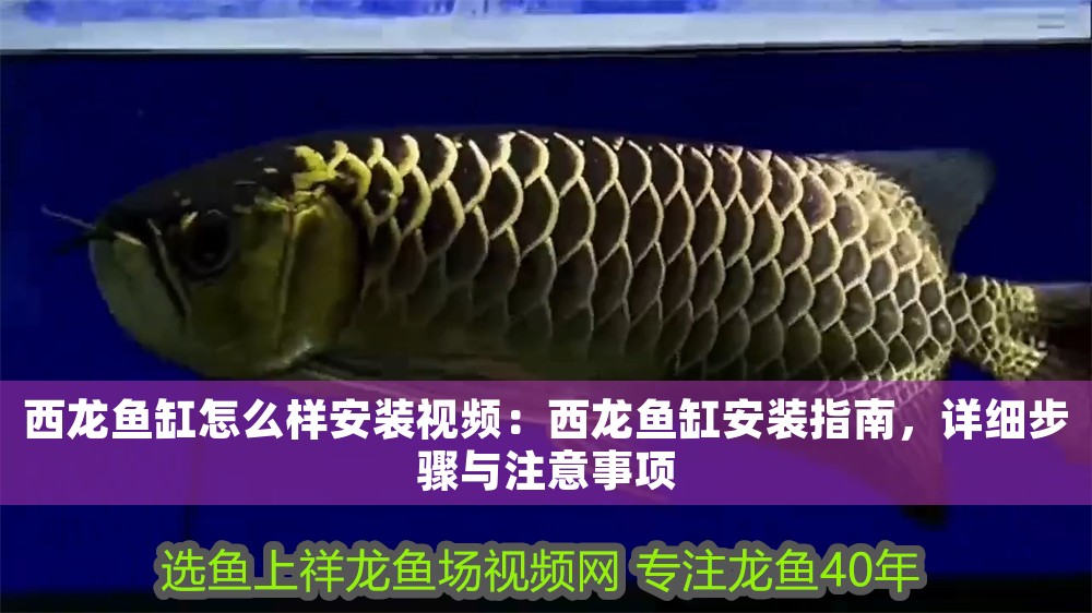 西龍魚缸怎么樣安裝視頻：西龍魚缸安裝指南，詳細步驟與注意事項