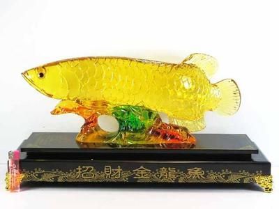 招財(cái)金龍魚(yú)嘴朝哪面（招財(cái)金龍魚(yú)嘴的朝向?qū)ω?cái)運(yùn)有著重要影響的影響）