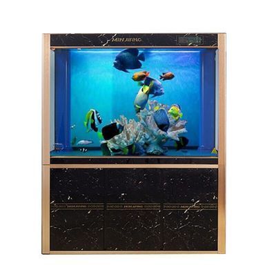 龍魚黑缸和白缸的區(qū)別：龍魚黑缸與白缸的區(qū)別