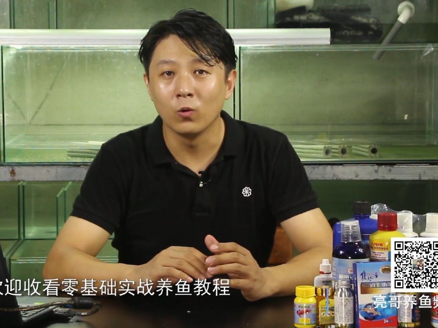 龍魚蒙眼最好治療方法視頻