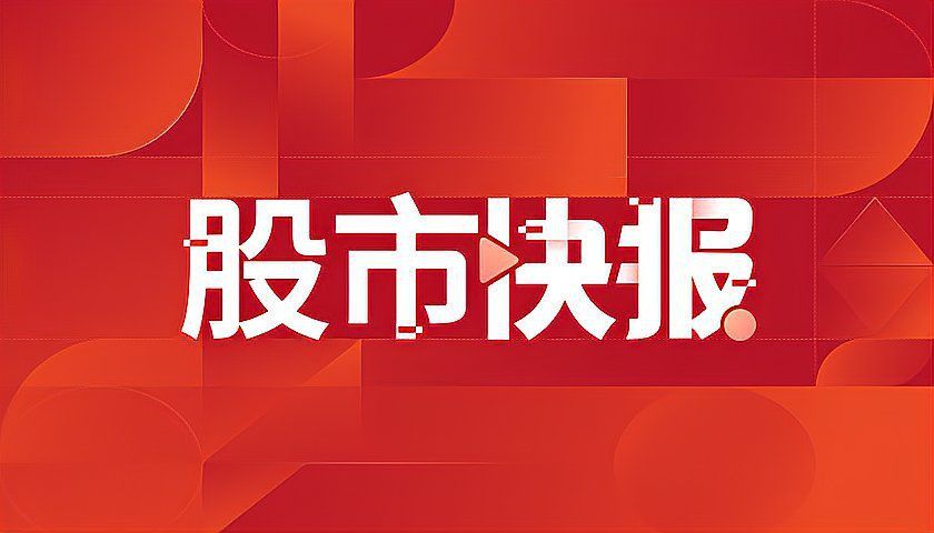 金龍魚今天最新消息