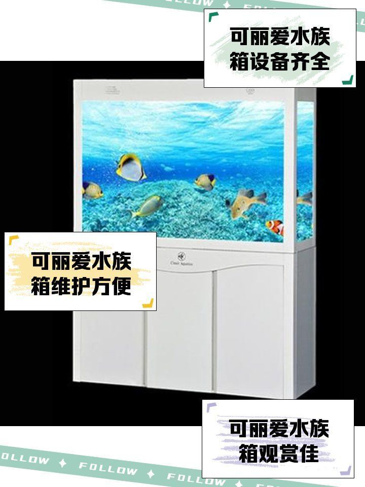 可麗愛魚缸新款官網