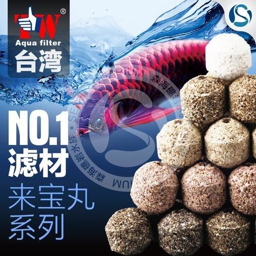 龍魚用什么過濾器材最好用圖片