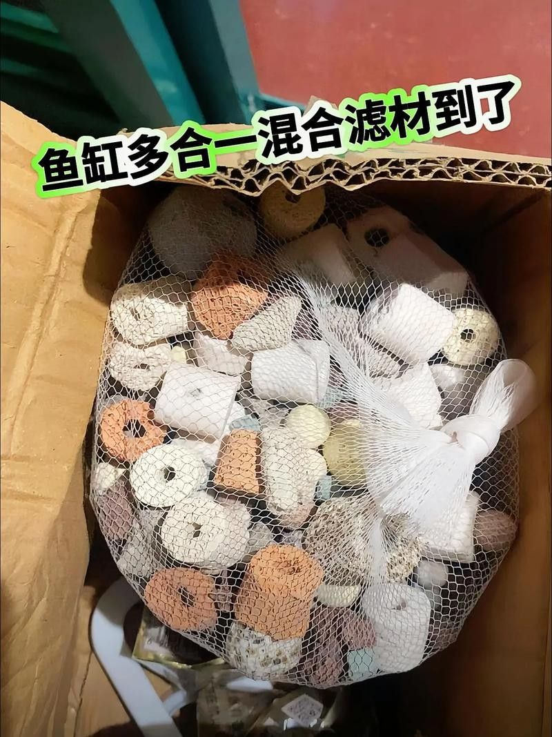 龍魚用什么過濾器材最好用圖片