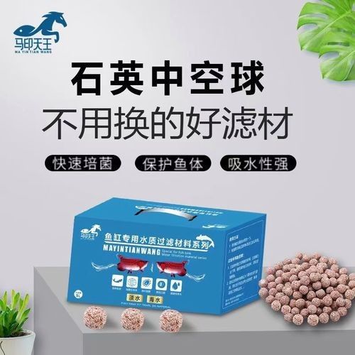 龍魚用什么過濾器材最好用圖片