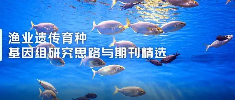 如何判斷福龍魚的遺傳穩定性？ 如何判斷福龍魚的遺傳穩定性？ 龍魚百科 第2張