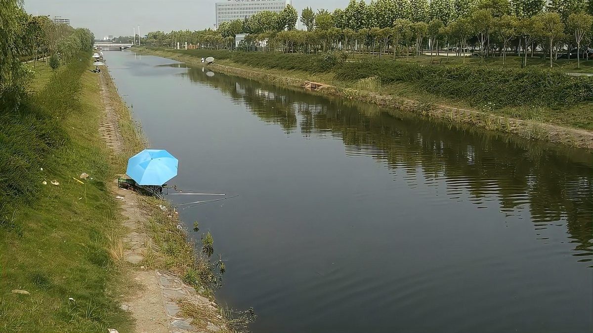 龍魚夏天水溫多少合適釣鰱鳙 龍魚夏天水溫多少合適釣鰱鳙 龍魚百科 第7張