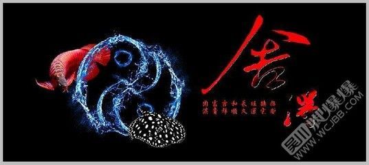 龍魚可以吃死魚嗎：如何自制龍魚飼料，龍魚活餌與死餌選擇，龍魚日常飲食結構