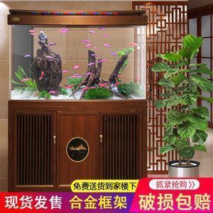 龍魚缸造景需要造景嗎為什么不能養，龍魚缸造景技巧和經驗分享， 龍魚缸造景需要造景嗎為什么不能養，龍魚缸造景技巧和經驗分享， 龍魚百科 第2張