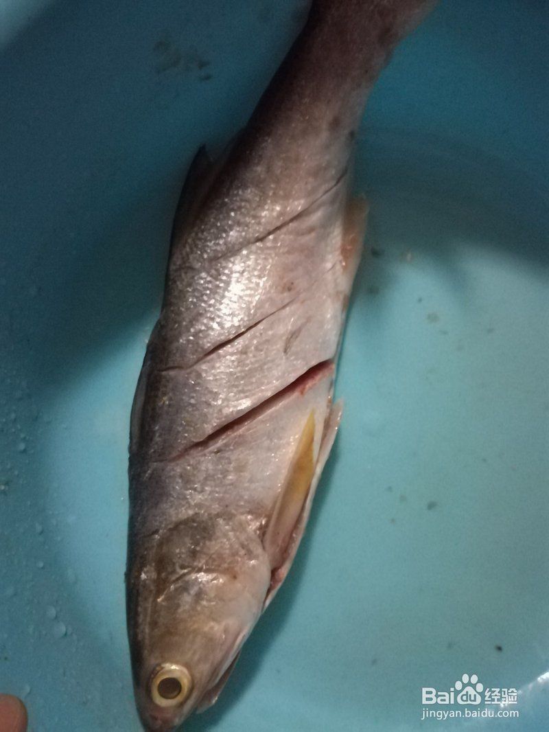 緬甸龍魚最簡單三個吃法