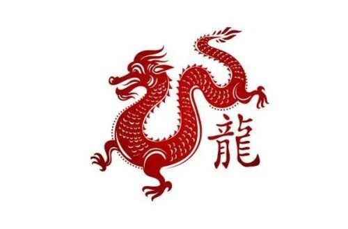 苦命龍一般生在幾月 龍魚百科 第4張 苦命龍一般生在幾月 苦命龍一般生在幾月 龍魚百科 第4張