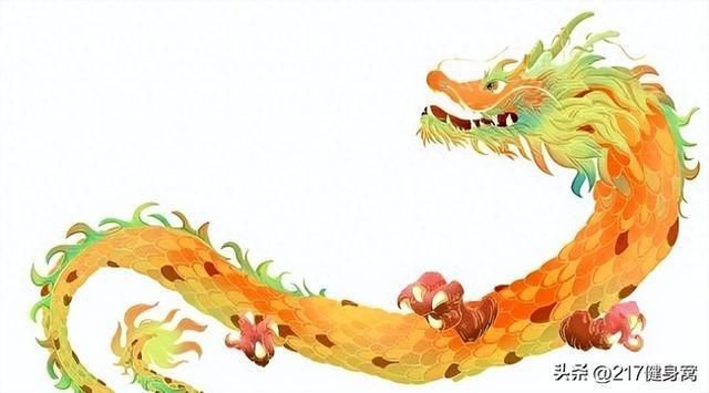 苦命龍一般生在幾月 龍魚百科 第1張 苦命龍一般生在幾月 苦命龍一般生在幾月 龍魚百科 第1張