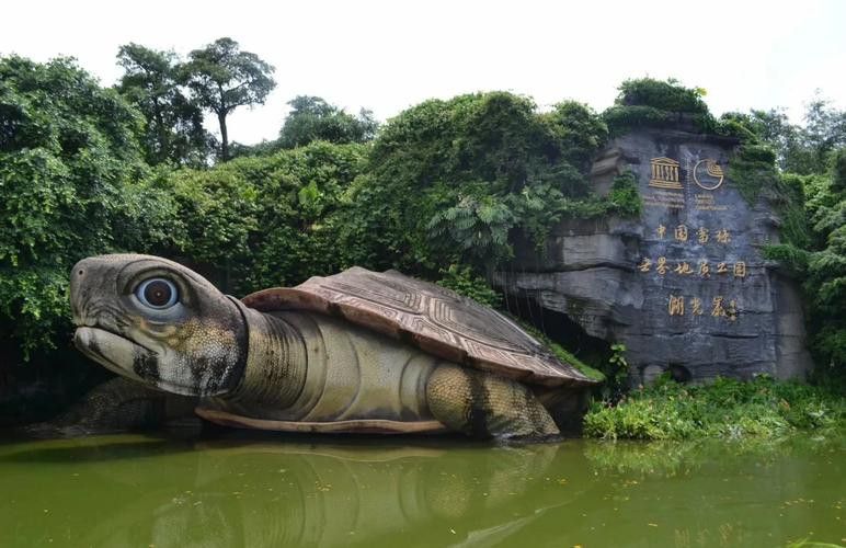 湖光巖神龜和龍魚的照片