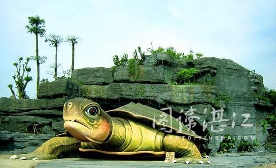 湖光巖神龜和龍魚的照片