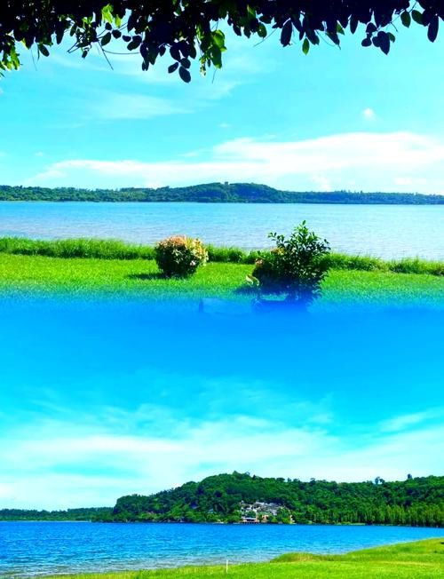 湖光巖神龜和龍魚的照片