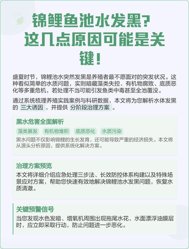 錦鯉大正退墨最簡單三個(gè)步驟