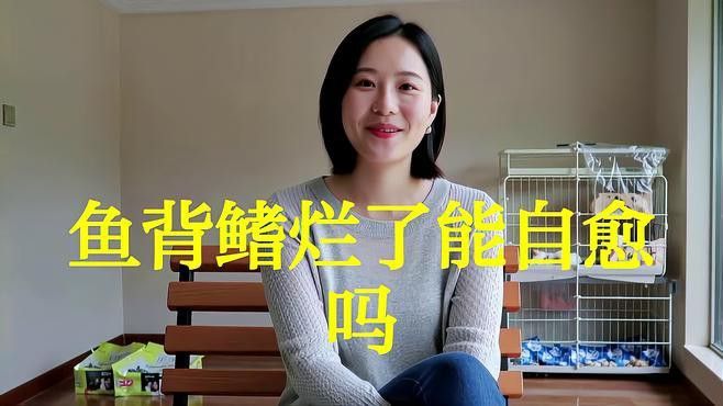 龍魚鱗片潰爛可以自愈嗎？