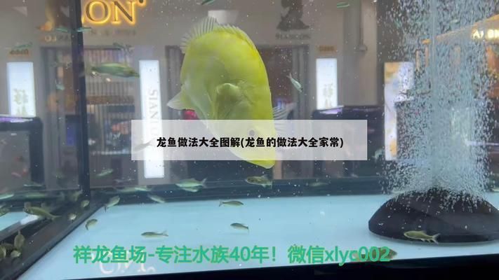 龍魚的嘴撞傷了:-龍魚百科-龍魚百科-龍魚百科-龍魚百科-龍魚批發 龍魚百科 第7張 龍魚的嘴撞傷了:-龍魚百科-龍魚百科-龍魚百科-龍魚百科-龍魚批發 龍魚的嘴撞傷了:-龍魚百科-龍魚百科-龍魚百科-龍魚百科-龍魚批發 龍魚百科 第7張