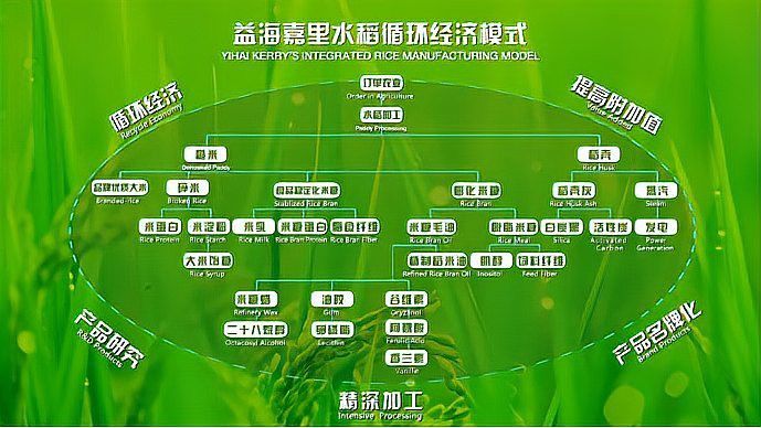 金龍魚哈爾濱基地的具體規模是多少？