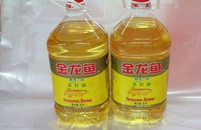 金龍魚(yú)好壞怎么看出來(lái)的，如何判斷金龍魚(yú)的好壞