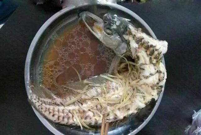 銀龍魚魚須發(fā)爛咋回事（銀龍魚魚須發(fā)爛可能是由多種因素引起的）