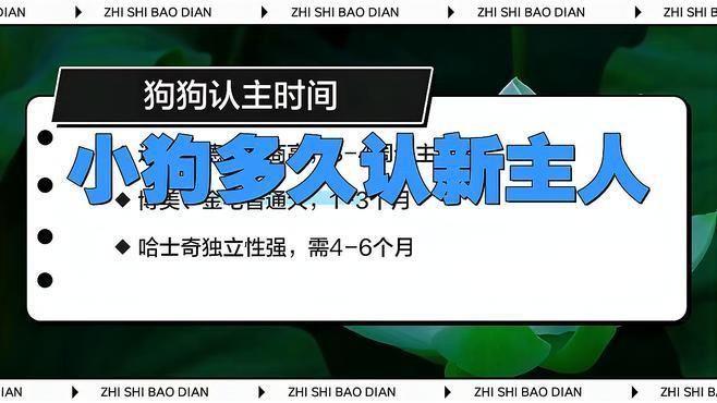 金龍養(yǎng)多久才能認主人 金龍養(yǎng)多久才能認主人 龍魚百科 第3張